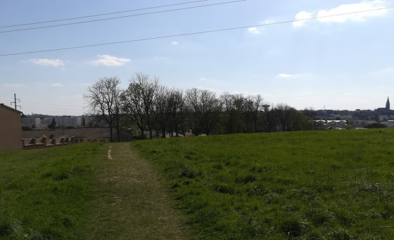 Dernièrs herbages avant le goudron ?