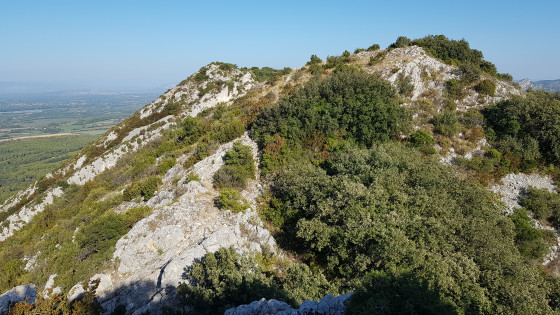 Derniers m&egrave;tres