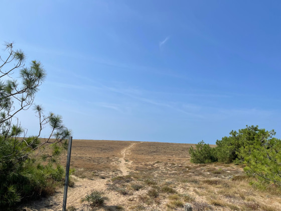 Derrière la dune se trouve la mer