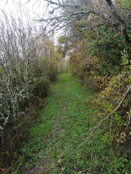 Des chemins très agréables