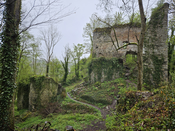 Dès le début de la marche...
