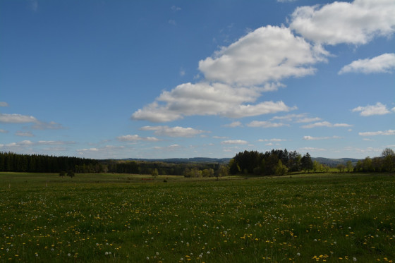 Des prairies et des for&ecirc;ts &agrave; perte de vue