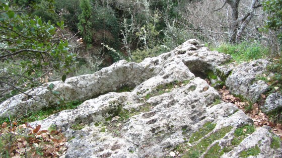 Des tombes?