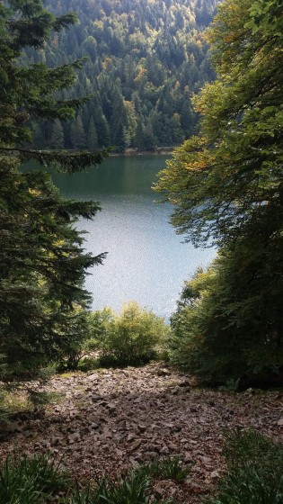 Descente au lac