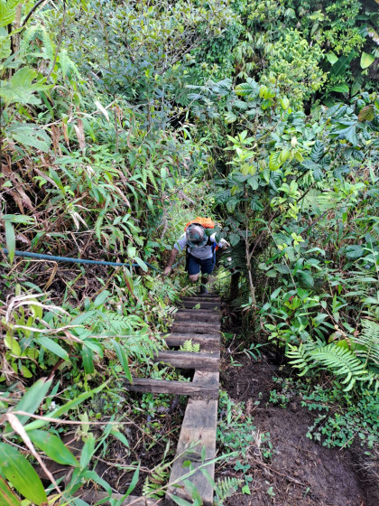 Descente dans la ravine