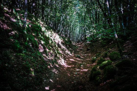Descente dans le Bois de la Peyre Blanque