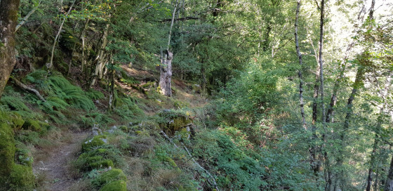 Descente dans les gorges du Chassezac