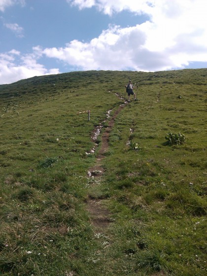 descente dans les pr&eacute;s
