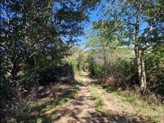 Descente du Chemin de Rouzede