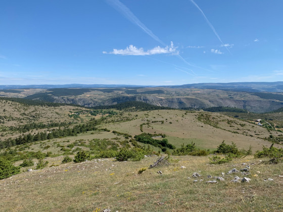 Descente plein nord du Puech d'Alluech
