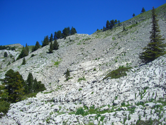 Descente Purgatoire