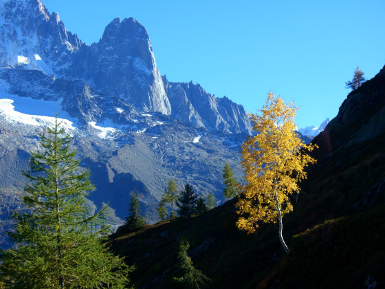 Descente sur le Col des Montets