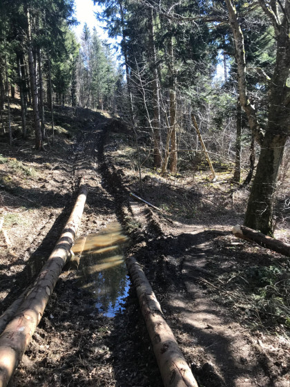 Descente sur le Crêtet