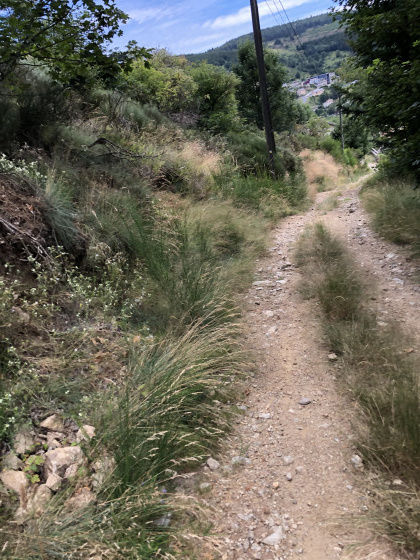 Descente toujours