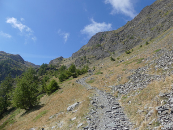 descente vers Jervis