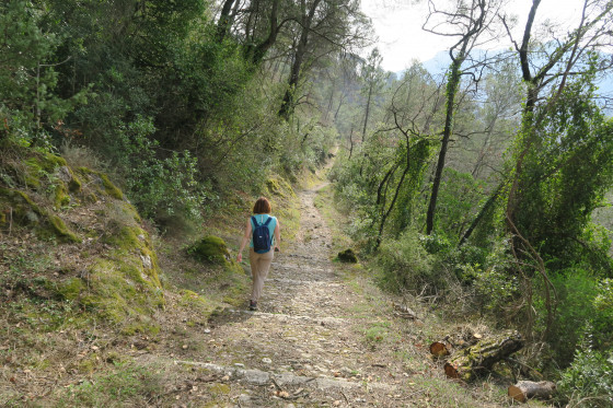 Descente vers l\'Estéron sur le sentier botanique de Gilette