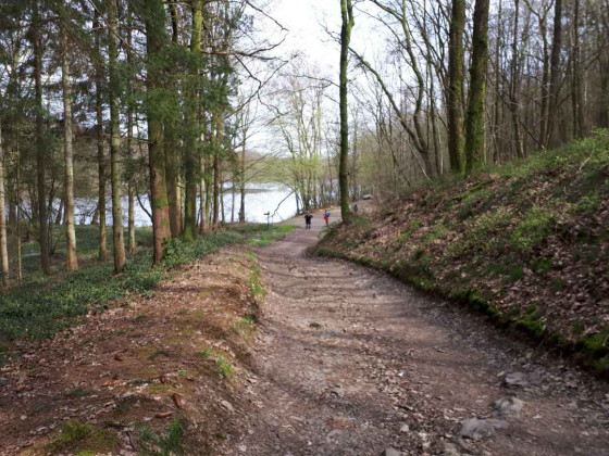 Descente vers l\'Etang de la Vieille Forge