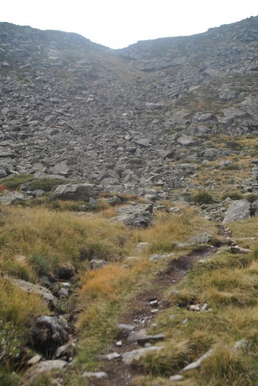 Descente vers l\'étang du Roumazet