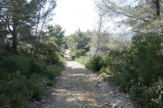 Descente vers la Tête du Vicaire