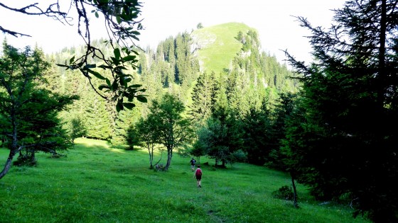 Descente vers le Col des Boeufs