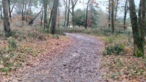 Descente vers le hameau de Mayras