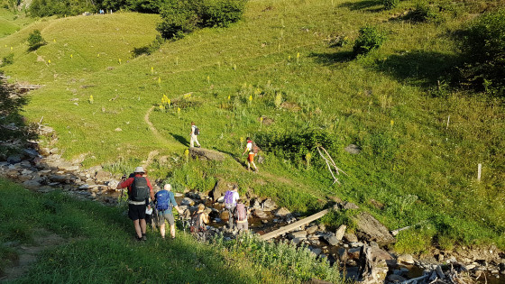 Descente vers le ruisseau