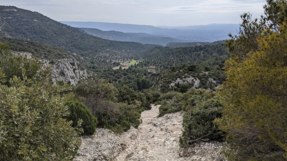 Descente vers le vallon de Valescure