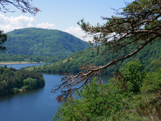 Descente vers les Camaldules