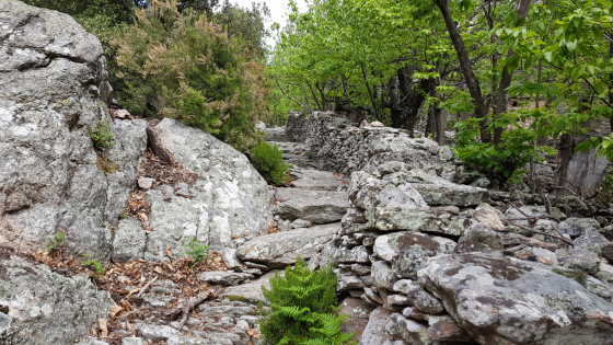 Descente vers Saint-Martin-de-l\'Arçon