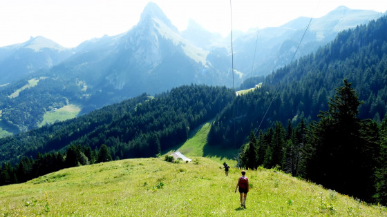 Descente