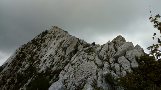 Descente