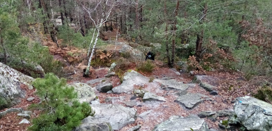Descente