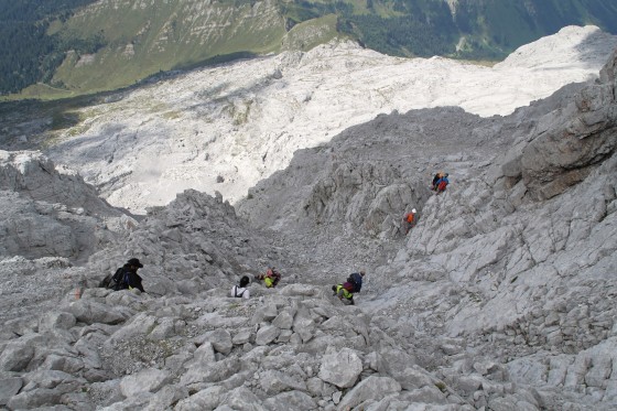 Dans la descente