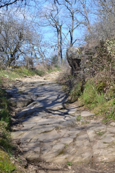 Descente