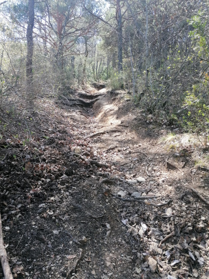 Descente