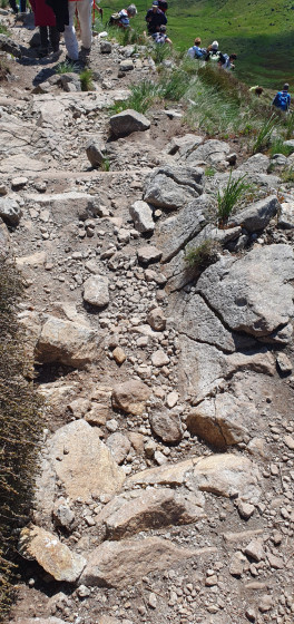 Descente