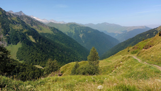 Descente