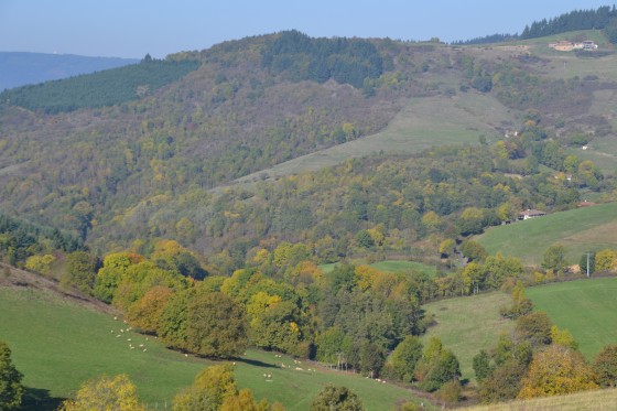 Descente