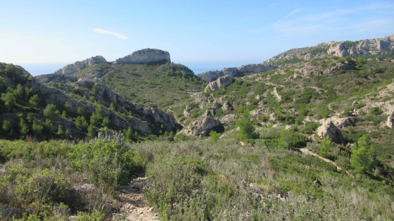 Descente