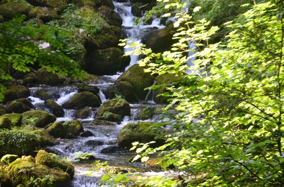 Détail du ruisseau