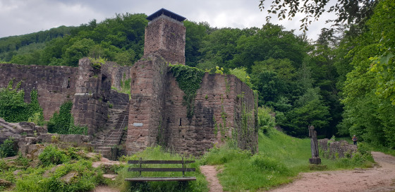 Die Hinterburg bei Neckarsteinach