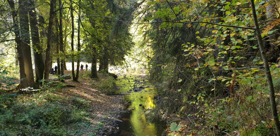 Die Mündung des Rötenbachs in die Wutach