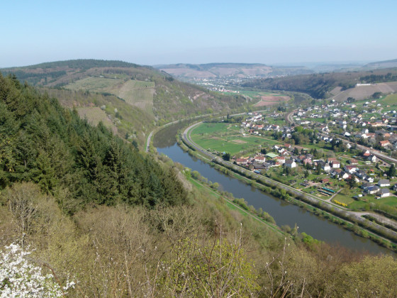 La Sarre près de Serrig