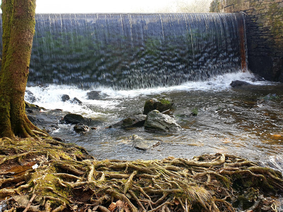 Digue de l\'étang de la Vieille Forge