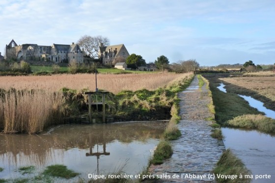 Digue, roselière et prés salés autour de l\'Abbaye de Beauport