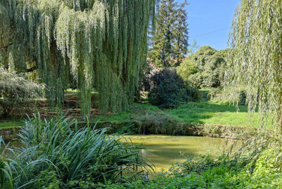 Dionne, bucolique halte arborée avec coin pique-nique