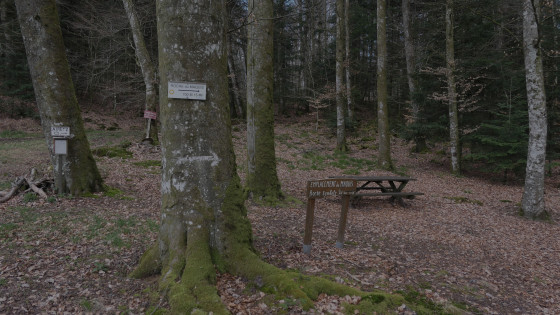 direction roche des maquisards