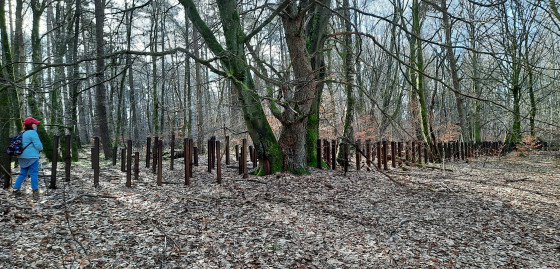 dispositif anti char de la ligne maginot vers la tombe des bavarois