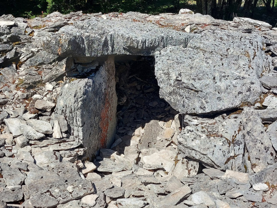 Dolmen Arteko Saroa