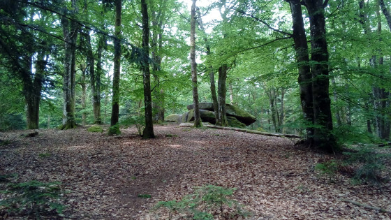Dolmen Chevresse